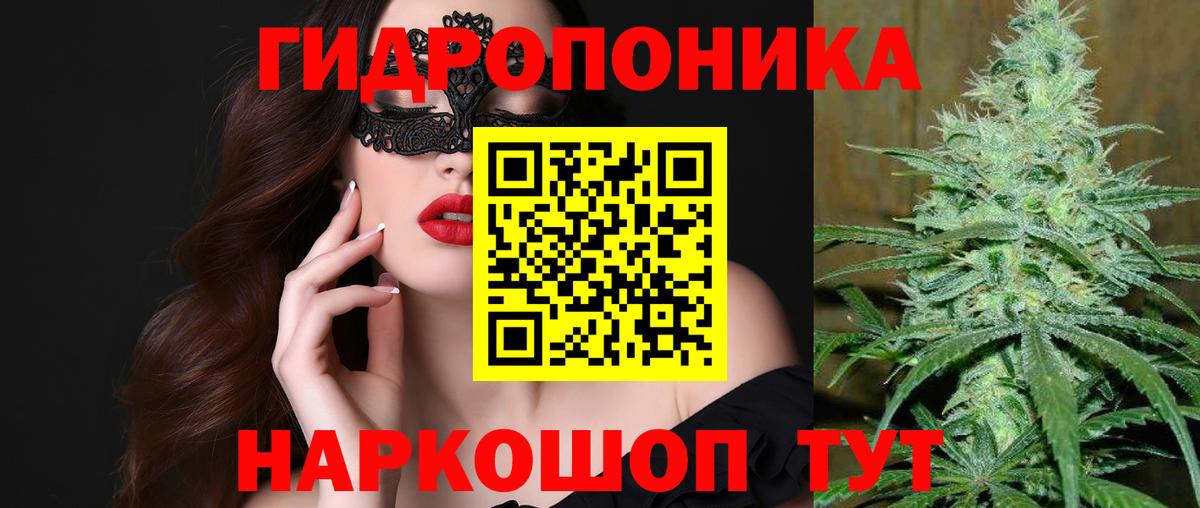 Бошки марихуана план  Бошки марихуана OG Kush  Вход с VPN  Тейково 